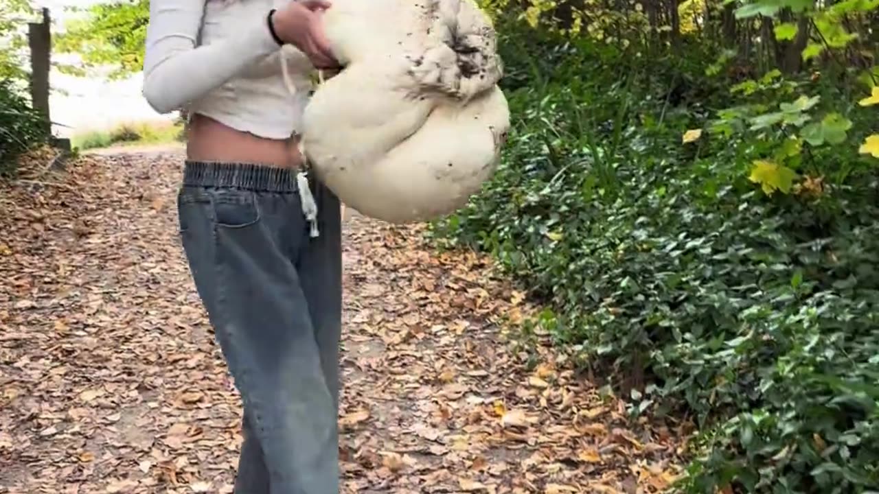 she is found big mushroom