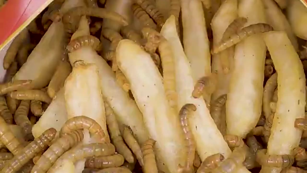Wormlapse