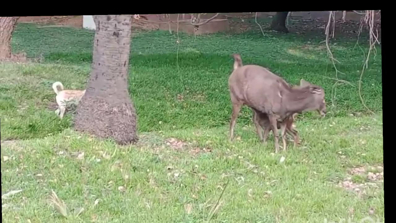 Look at that motherly love 💞💞❤️❤️🥰🥰🥰👍👍👍