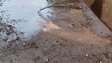 😳🤔 What's Going On Here? Prepare to Be Creeped Out! | TheHauntingHour