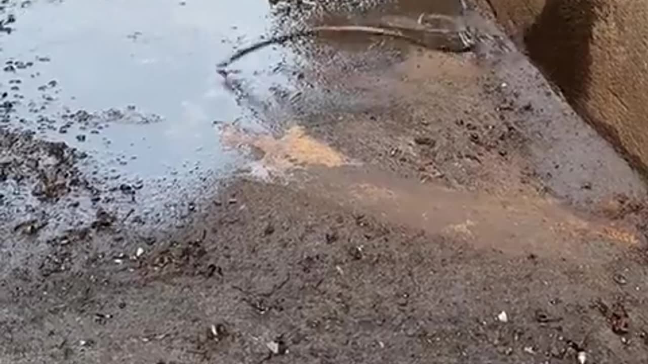 😳🤔 What's Going On Here? Prepare to Be Creeped Out! | TheHauntingHour