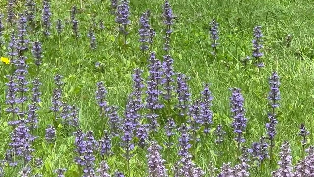 Express Love to Each Other