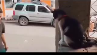 I am interested in this religion