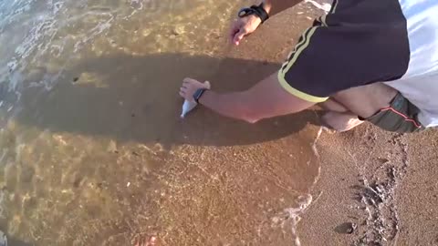 si ritorna a pesca nel mio mare terra SICILIA_part5
