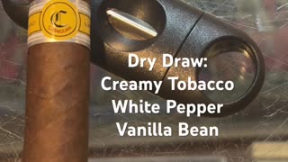 Cabaiguan Guapos (Tatuaje) 5 1/4x50 Robusto Extra #Shorts #Short #CigarOfTheDay #Review #CigarReview