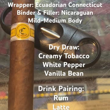 Cabaiguan Guapos (Tatuaje) 5 1/4x50 Robusto Extra #Shorts #Short #CigarOfTheDay #Review #CigarReview