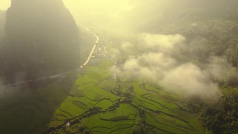 Aerial view of / rice field with clouds in the sky