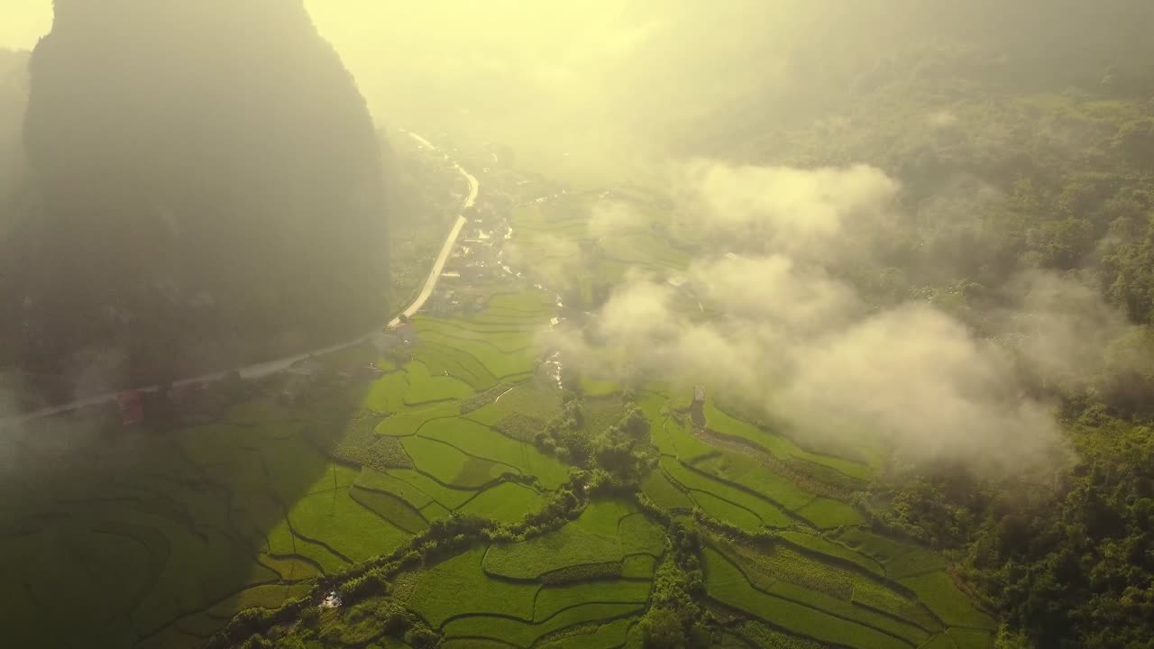 Aerial view of / rice field with clouds in the sky