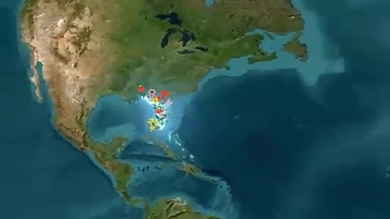Why Greenland Is Ice and Iceland Is Green ❄️ Name Mix-Up 🤯