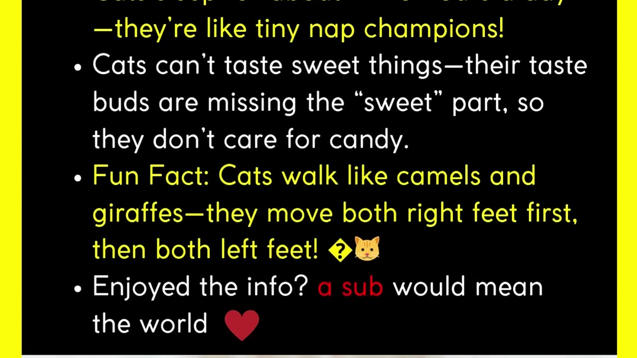 Did you know