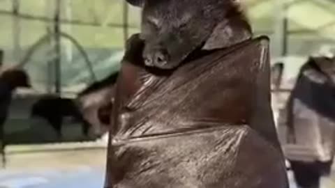 😴😂 Sleepy Bro! | FunFM