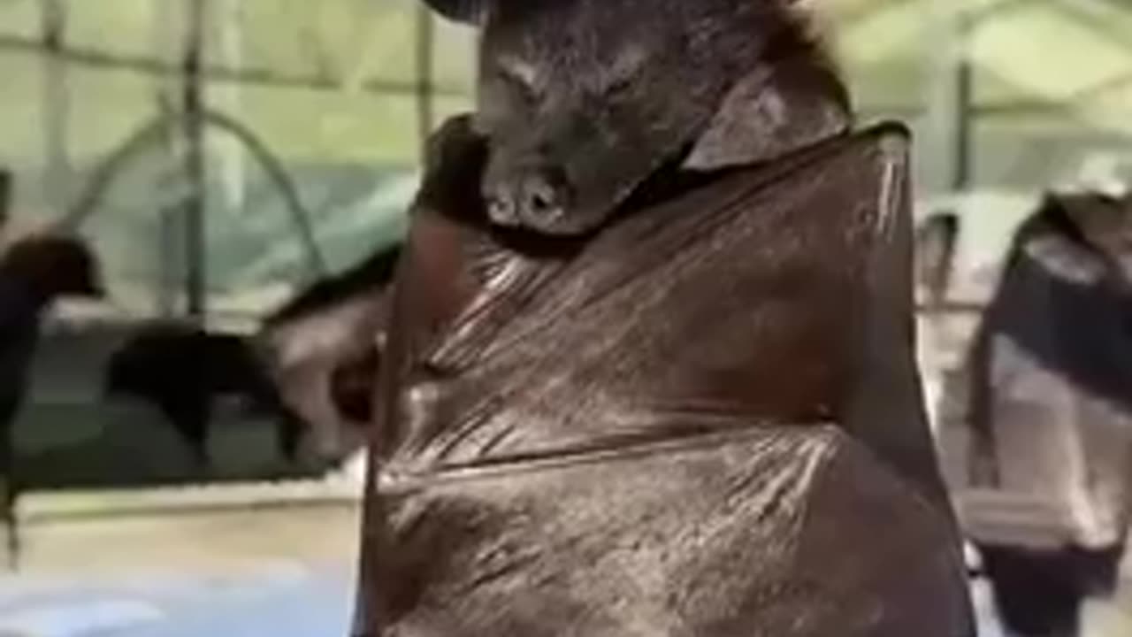 😴😂 Sleepy Bro! | FunFM