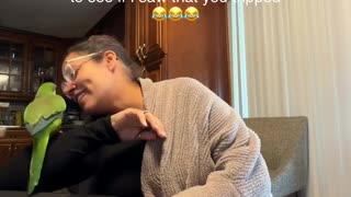 😂👀 You Won't Believe What Just Happened! Did Anyone Else See That? | FunFM