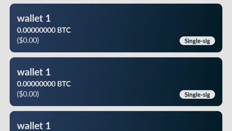 Nunchuk Mobile Wallet Review