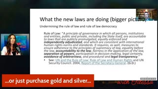 Libertytalkcanada - Cancellation Of Constitution/Charter/ Human Rights By The State