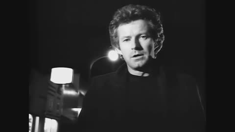Don Henley - The Boys Of Summer - Upscaled