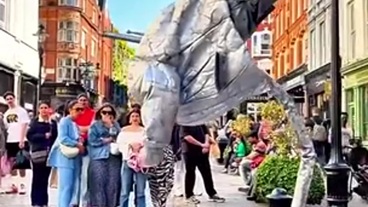 Years of patience brought this moment. Even the pigeons become part of my performance