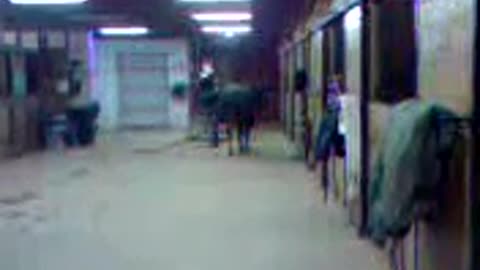 Help cleaning the barn