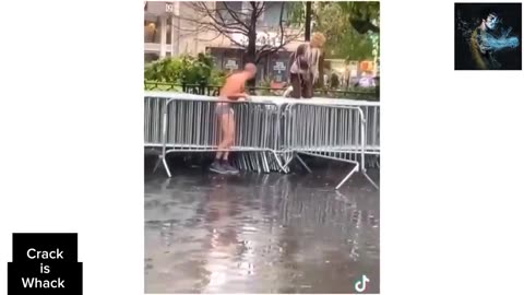 NIGHT OF THE LIVING BASE HEADS