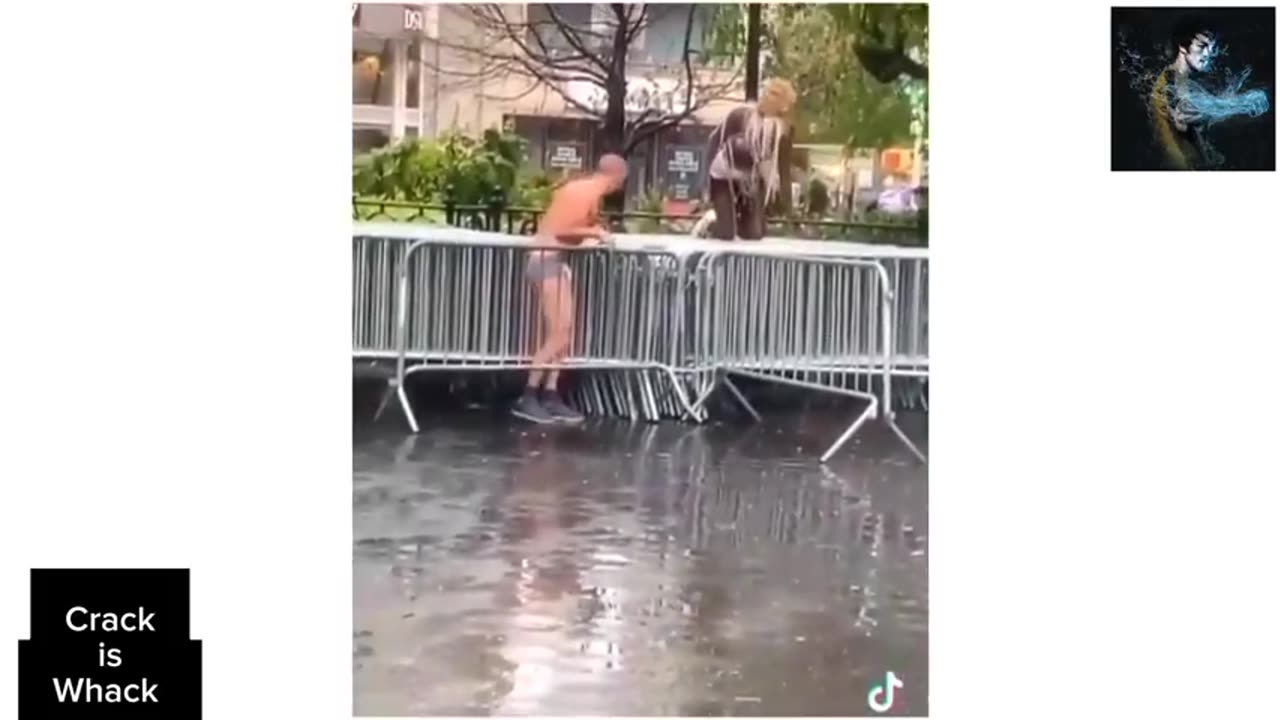 NIGHT OF THE LIVING BASE HEADS