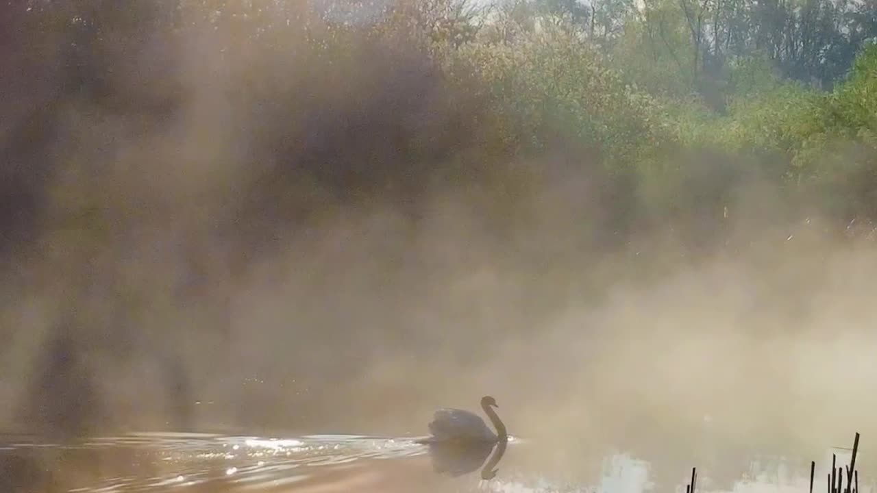 Live in peace and in harmony with each other.