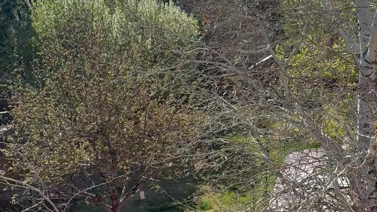 A good day outside