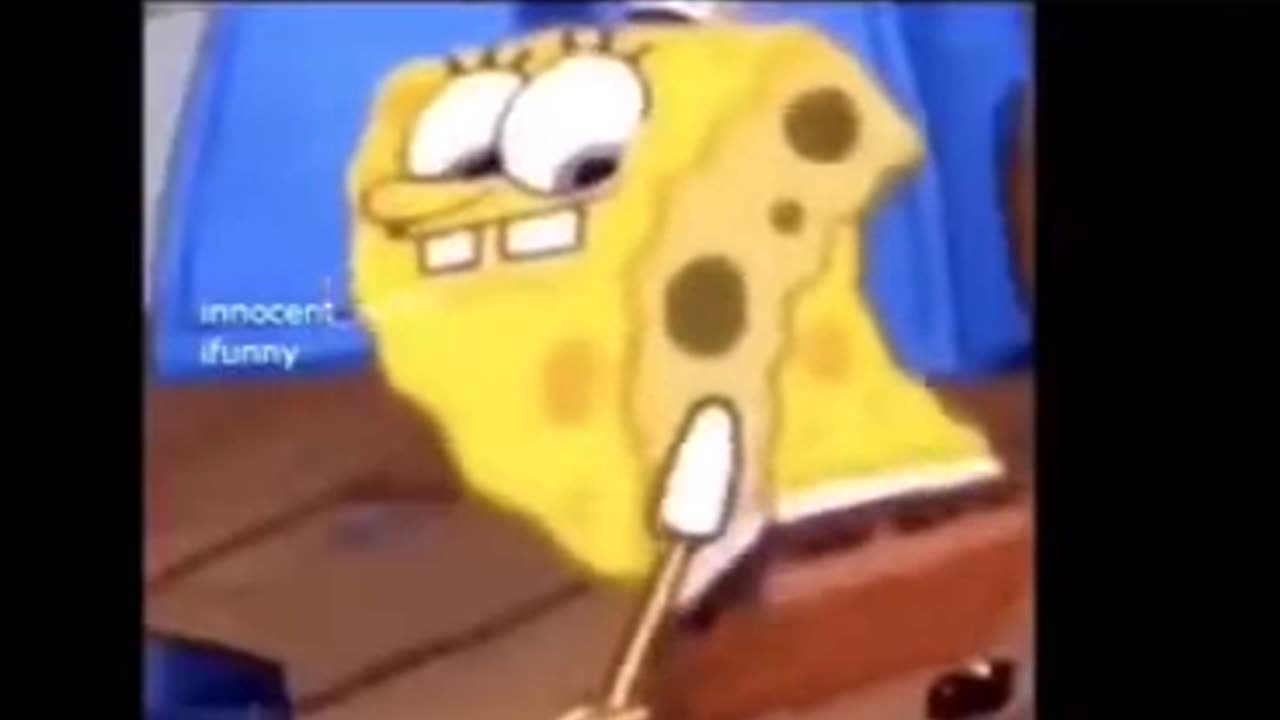 SpongeBarbara