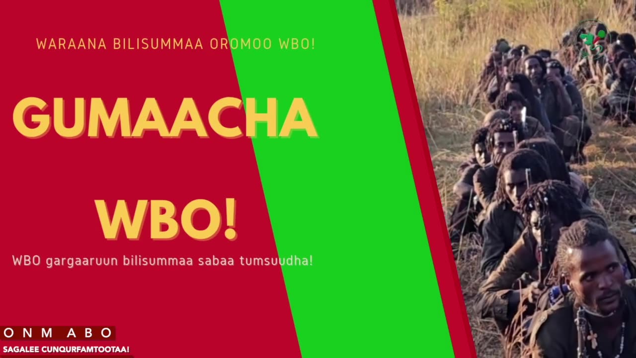Gabaasa Gumaacha ONM-ABO Fulbaana 3-2025 itti dhiyaadhaa!