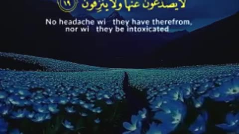 Luxury of the Righteous | Surah Al-Waqi’ah 16-20 💎 Gardens, Fruits & Honor