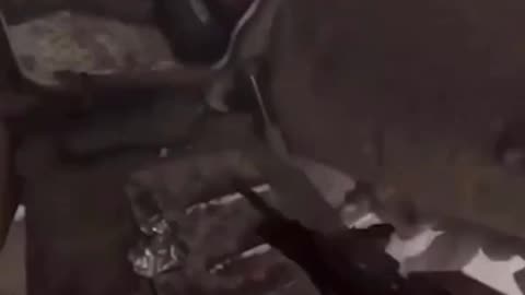 The powerful operation reportedly killed one officer and wounded several soldiers