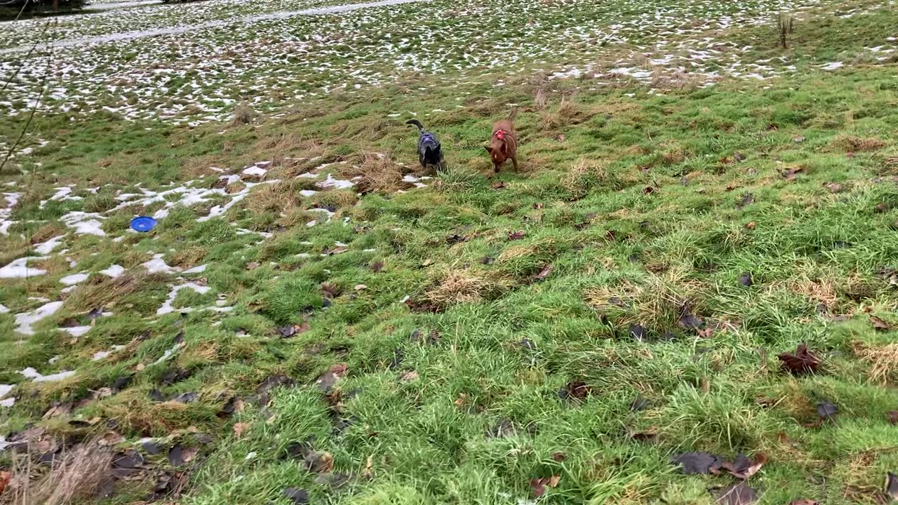 waynes park patrol 219380201394820938