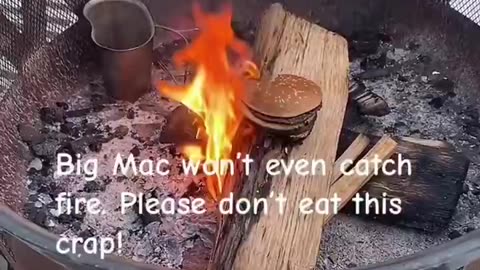 What do they put in a BigMac❓ Coz it wont catch fire.... 🍔formaldehyde⁉️