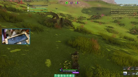 Stream Games