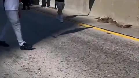 🚨 Protesters BLOCK Freeway — No Arrests, No Consequences?!