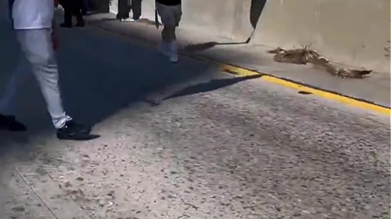 🚨 Protesters BLOCK Freeway — No Arrests, No Consequences?!