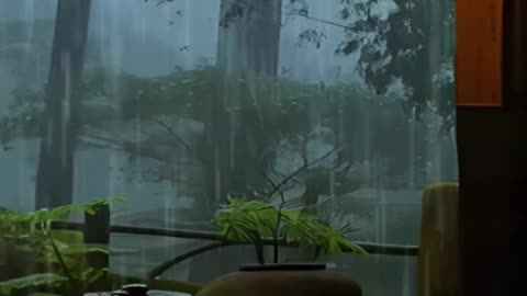 Relaxing Rain & Gentle Thunder 🌙 Sleep Sounds for Deep Rest