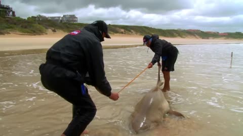 FISHING LIFE EPISODE 4