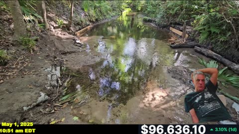BITCOIN SURGES WITH A NEW DAM UPDATE AND SUPRISE VISITOR!