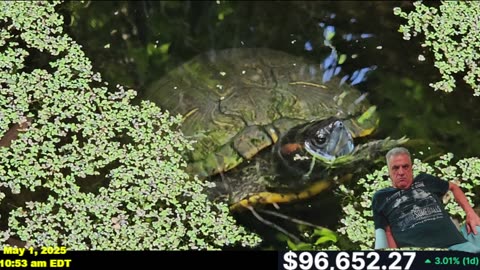 BITCOIN SURGES WITH A NEW DAM UPDATE AND SUPRISE VISITOR!