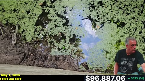 BITCOIN SURGES WITH A NEW DAM UPDATE AND SUPRISE VISITOR!
