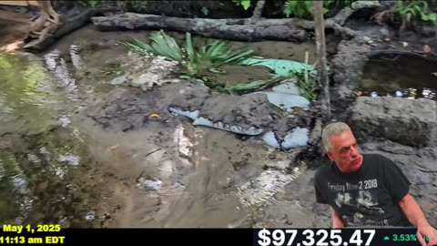 BITCOIN SURGES WITH A NEW DAM UPDATE AND SUPRISE VISITOR!