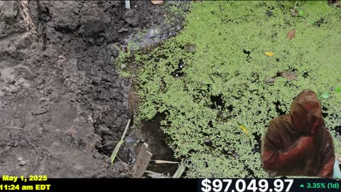 BITCOIN SURGES WITH A NEW DAM UPDATE AND SUPRISE VISITOR!