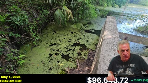 BITCOIN SURGES WITH A NEW DAM UPDATE AND SUPRISE VISITOR!