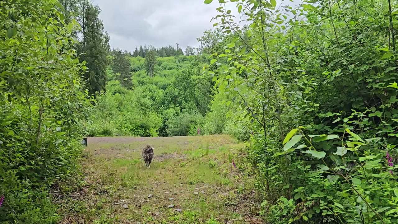 Morning Walk -N- Real Estate Talk