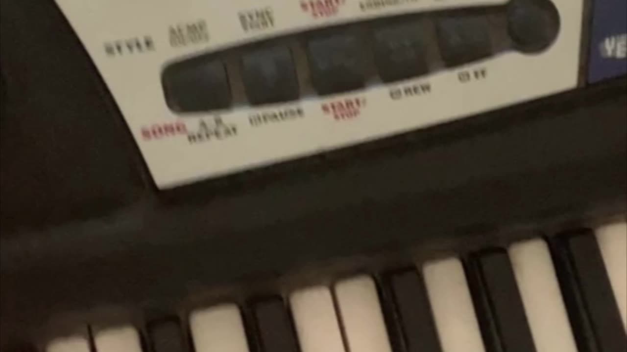 “Hollywood In My Backyard” 💋🤘🎶