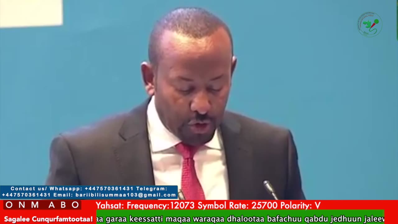 Oduu Waaree ONM-ABO Adoolessa 29-2025 itti dhiyaadhaa!