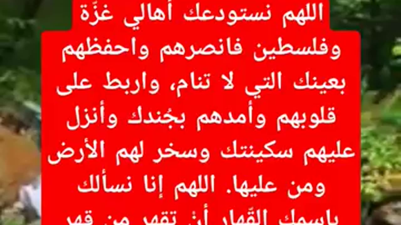 ما هو افضل دعاء لاهل غزه في يوم عرفه