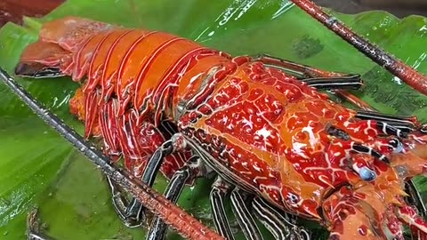 Hot Oil Turns Lobster Orange