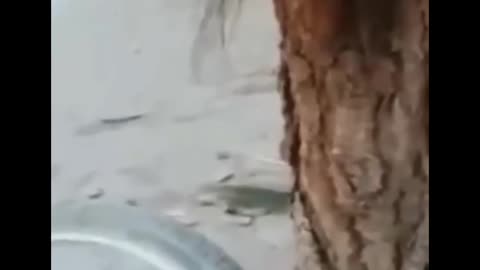 Try Not To Laugh Challenge Extreme 2025 (3)