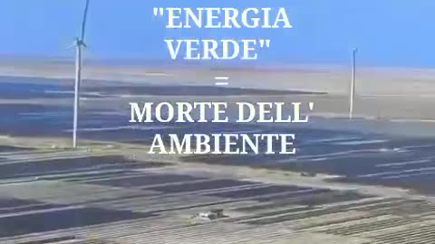 Niente erba, alberi, animali, nemmeno uccelli.